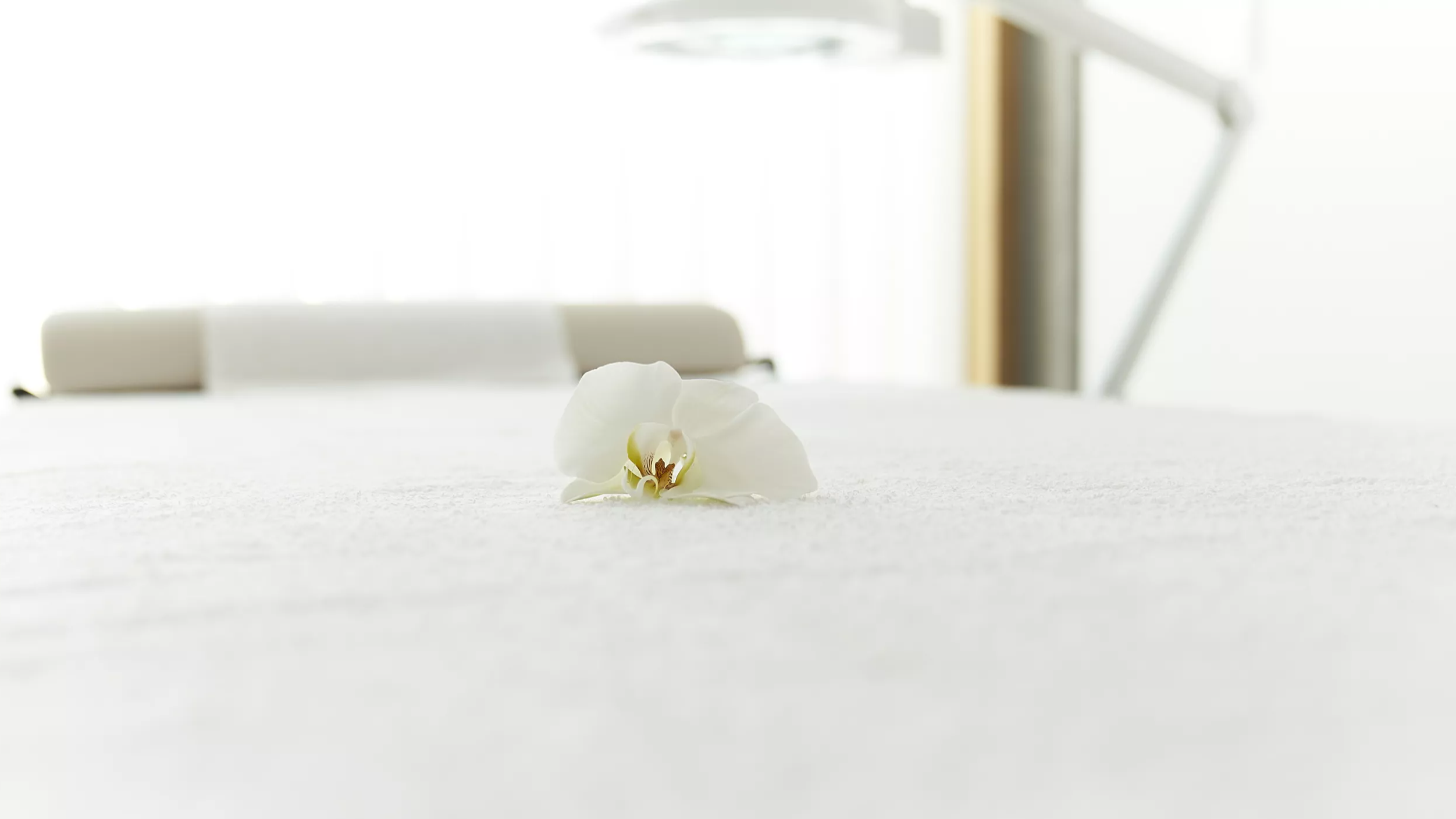 dsc972721-07-13.1.69e7bdedd8519