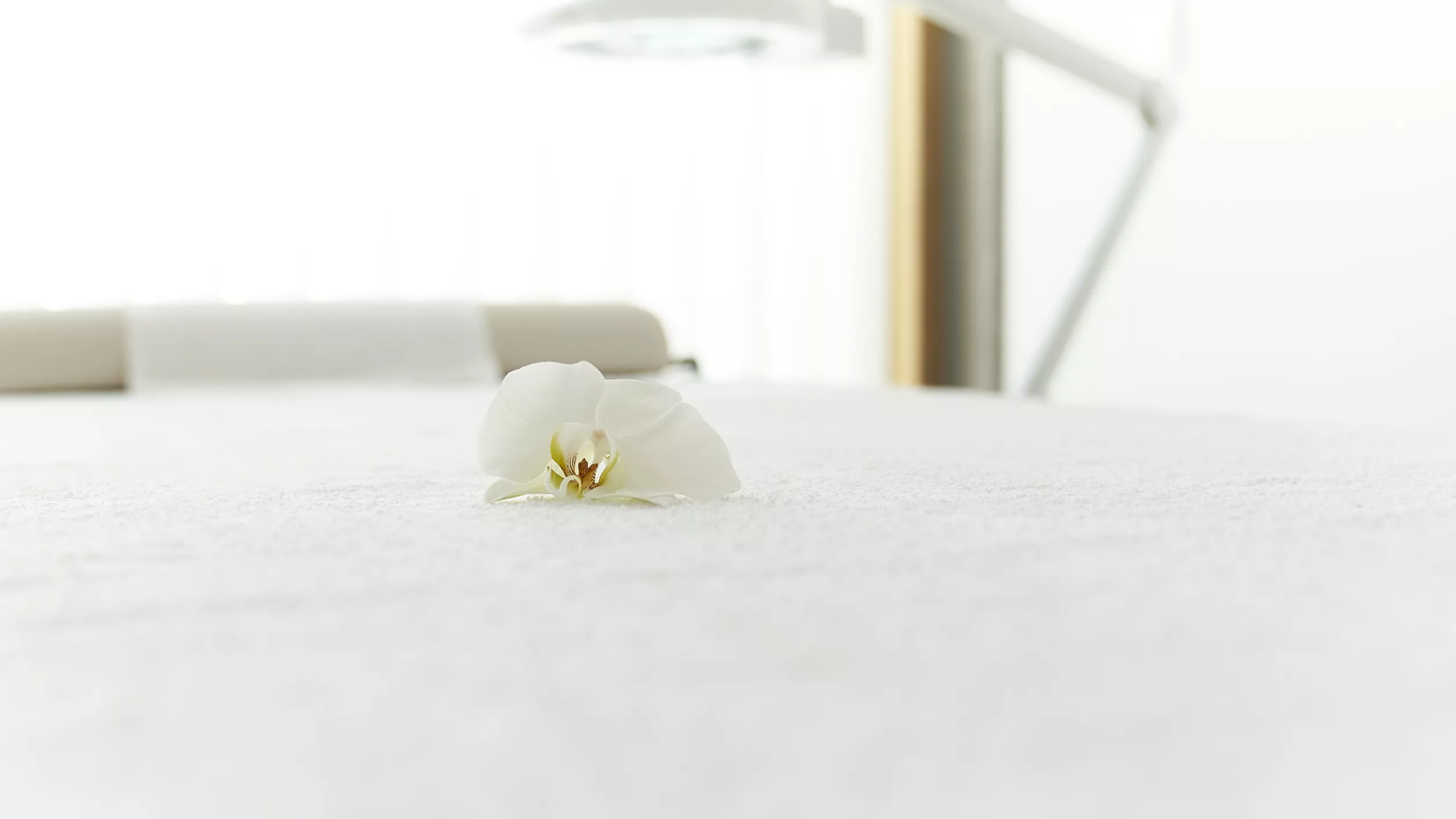 dsc972721-07-13.12.69e7b9d1b36f9